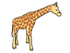 Kirin ｜ Giraffe --Animal ｜ Animal ｜ Free Illustration Material