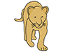 Lion-Animal | Animal | Free Illustration Material