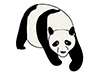 Panda-Animal | Animal | Free Illustration Material