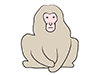 Monkey ｜ Monkey ｜ Animal ｜ Animal ｜ Free Illustration Material