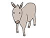 Donkey-Animal | Animal | Free Illustration Material