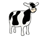 Cow ｜ Cow-Animal ｜ Animal ｜ Free Illustration Material