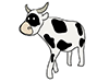 Cow ｜ Cow-Animal ｜ Animal ｜ Free Illustration Material