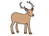 Deer ｜ Deer ――Animal ｜ Animal ｜ Free Illustration Material