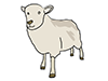 Sheep | Sheep-Animal | Animal | Free Illustrations