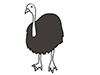 Ostrich ｜ Ostrich --Animal ｜ Animal ｜ Free Illustration Material