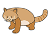 Red Panda-Animal | Animal | Free Illustration Material