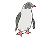 Penguins-Animal | Animals | Free Illustrations