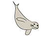 Seals / Sea Lions-Animal | Animals | Free Illustrations