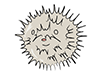 Porcupinefish-Animal | Animal | Free Illustration Material