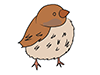 Sparrow / Sparrow-Animal | Animal | Free Illustration Material