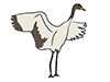 Crane / Crane-Animal | Animal | Free Illustration Material