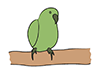 Parrot-Animal | Animal | Free Illustration Material