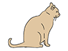 Cats | Cats-Animal | Animals | Free Illustrations