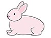 Rabbit ｜ Rabbit-Animal ｜ Animal ｜ Free Illustration Material