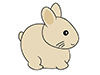 Rabbit ｜ Rabbit-Animal ｜ Animal ｜ Free Illustration Material