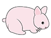 Rabbit ｜ Rabbit-Animal ｜ Animal ｜ Free Illustration Material