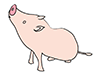 Pig ｜ Pig-Animal ｜ Animal ｜ Free Illustration Material