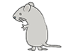 Mouse ｜ Mouse ｜ Animal ｜ Animal ｜ Free Illustration Material