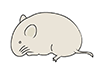 Mouse ｜ Mouse ｜ Animal ｜ Animal ｜ Free Illustration Material