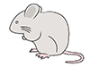 Mouse ｜ Mouse ｜ Animal ｜ Animal ｜ Free Illustration Material