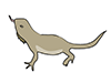 Lizards-Animal | Animals | Free Illustrations