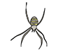 Spider / Spider-Animal | Animal | Free Illustration Material