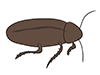 Cockroach / Aphid-Animal | Animal | Free Illustration Material